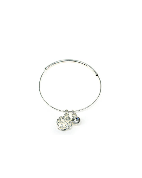 Silver-tone "S"